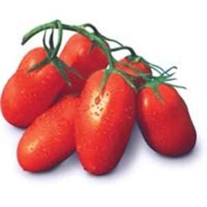 Інкас F1 - томат детермінантний, 1 000 насінин, Nunhems (Нунемс) Голландія фото, цiна